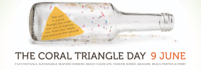 coral triangle day 2013 poster
