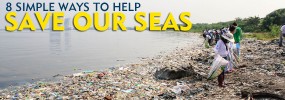 ways to save oceans