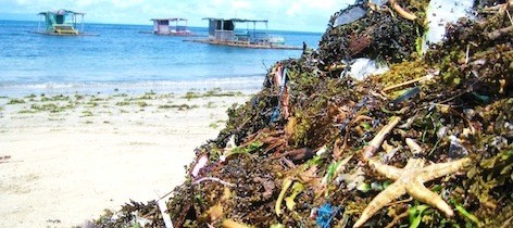 trash beach