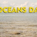 Freedom Island Coastal Cleanup on World Oceans Day – June 8!