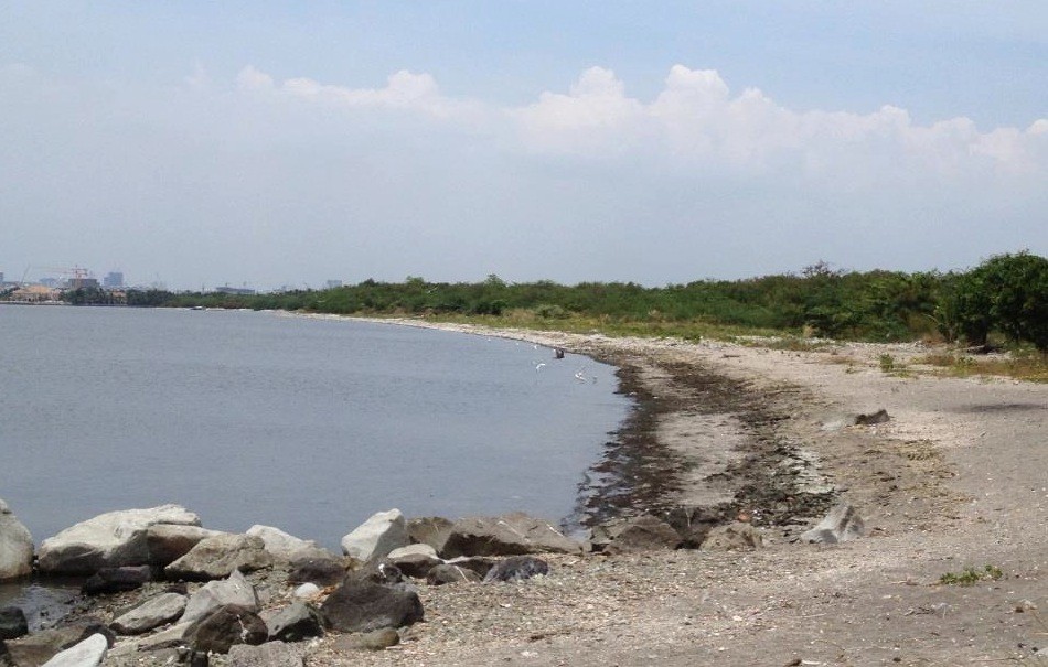 Freedom Island when garbage-free after the cleanup