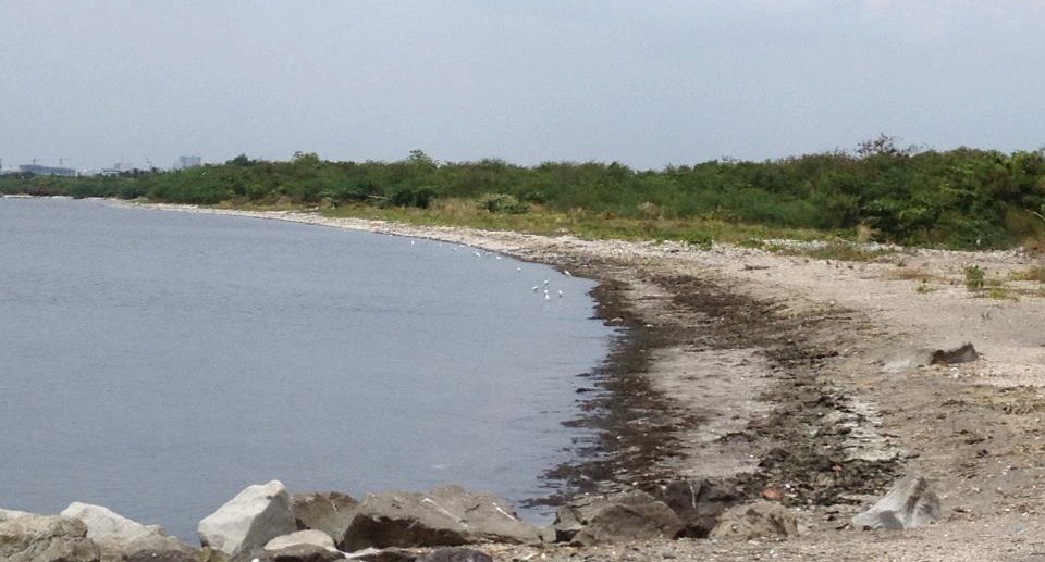 Freedom Island when it's clean and trash-free