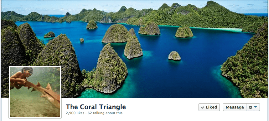 Facebook fan page of the Coral Triangle
