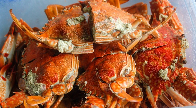 ginataang alimango crabs coconut milk