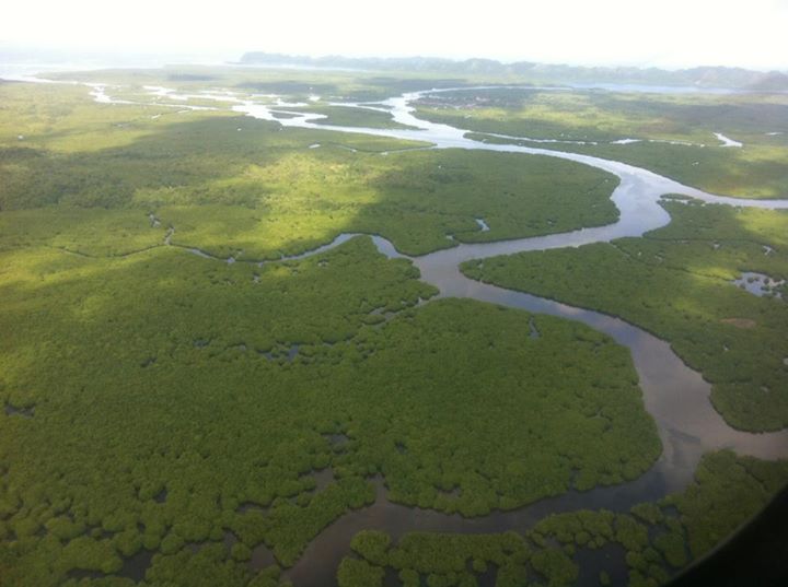 Aerial View of Siargao