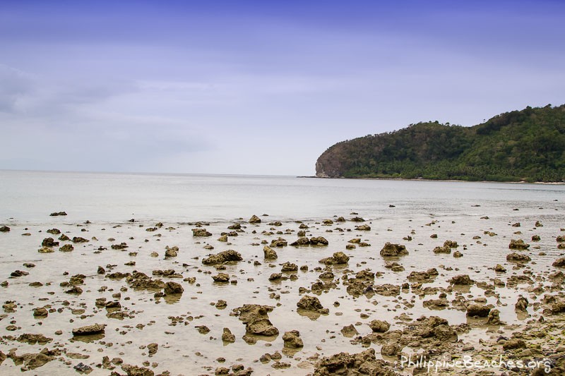 Rocky Shore