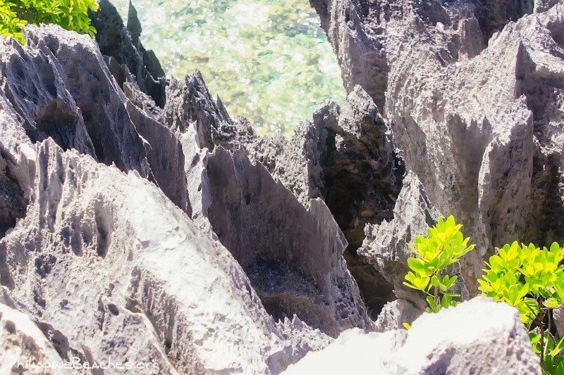 The sharp and pointed edges of the viewpoint.