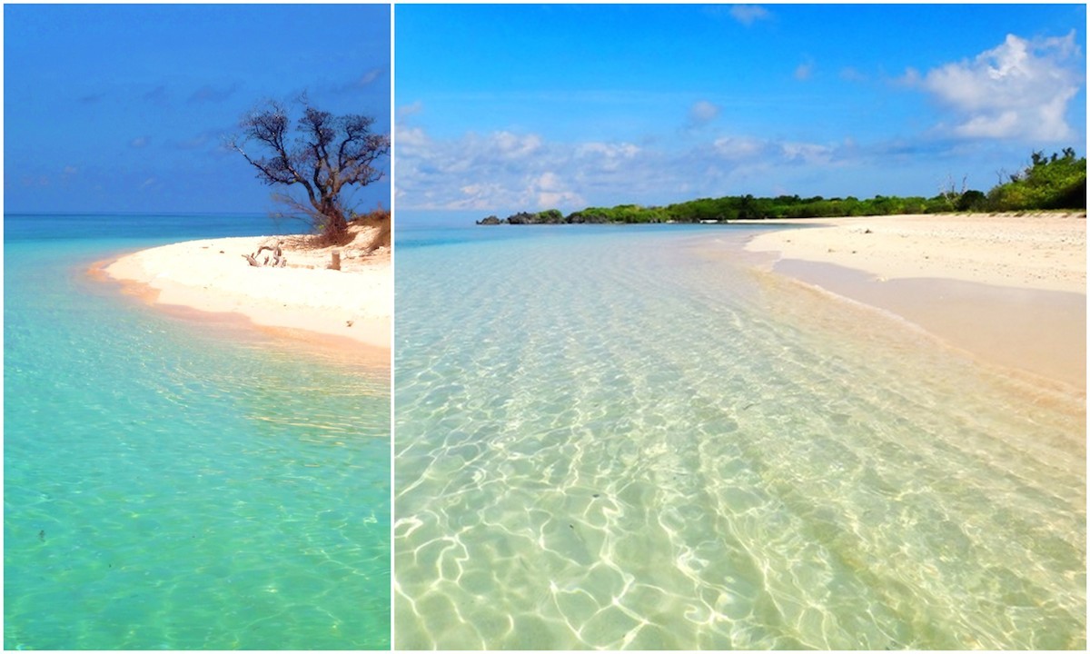 Apo Island, one of the islands in the reef area