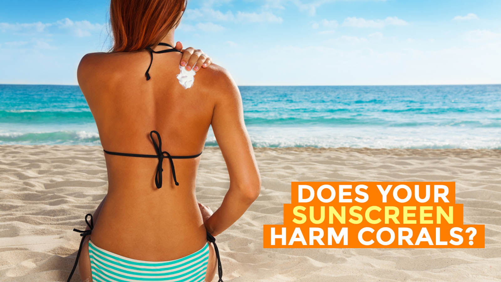 Sunscreen Harm Corals