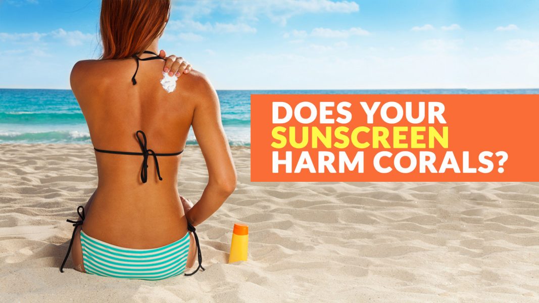 Does Your Sunscreen Harm Coral Reefs?