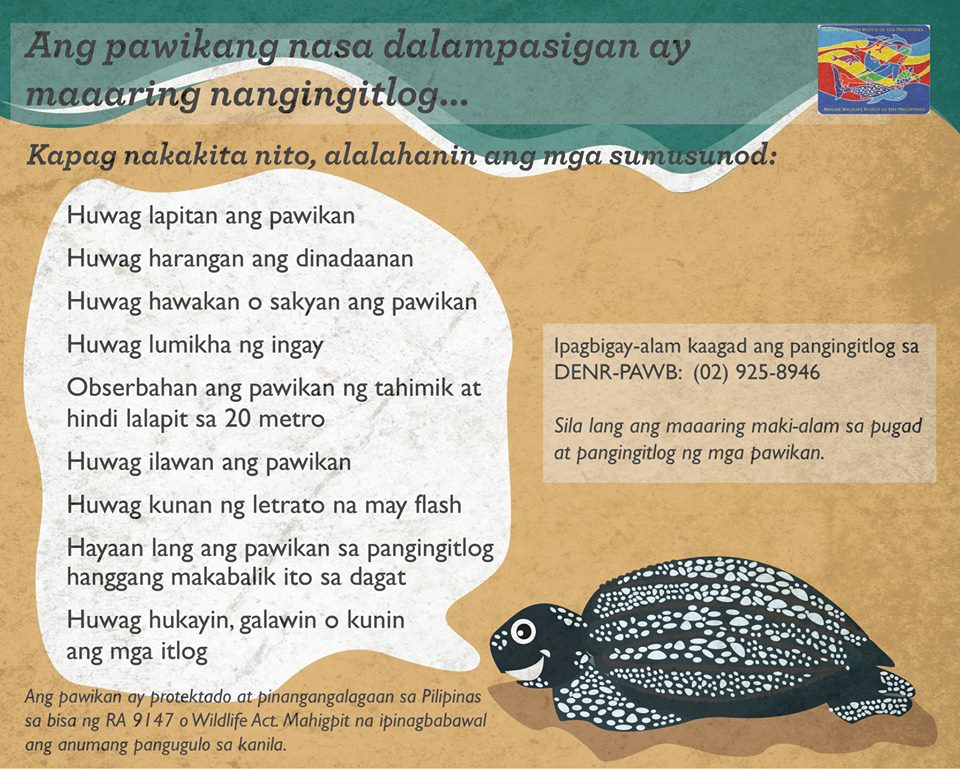 Infographic by Marine Wildlife Watch of the Philippines