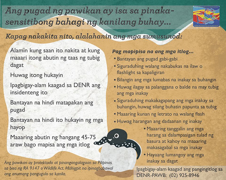 Infographic by Marine Wildlife Watch of the Philippines