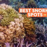 BEST PLACES TO SNORKEL IN LUZON