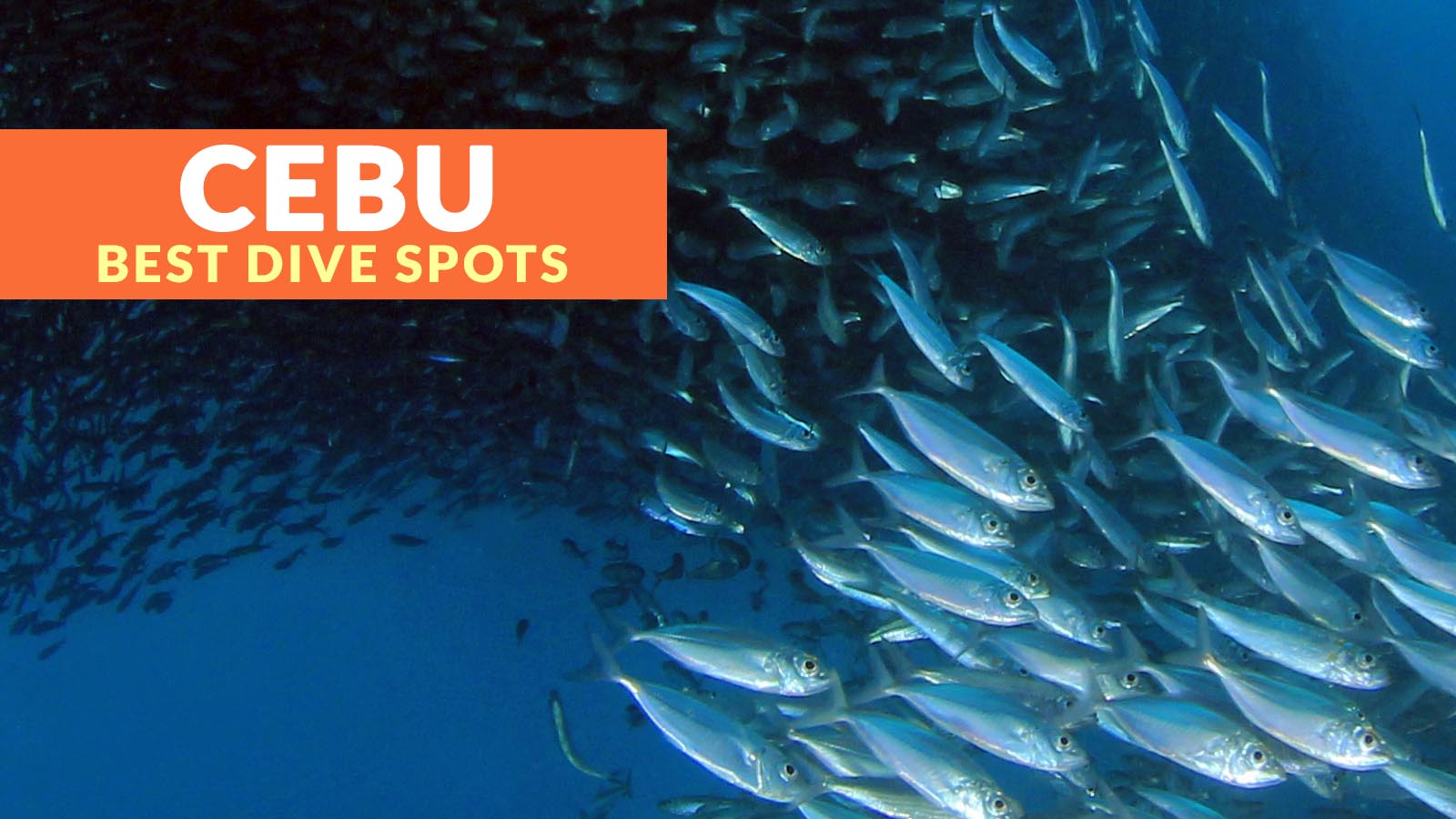 Top Diving Destinations In Cebu Philippine Beach Guide