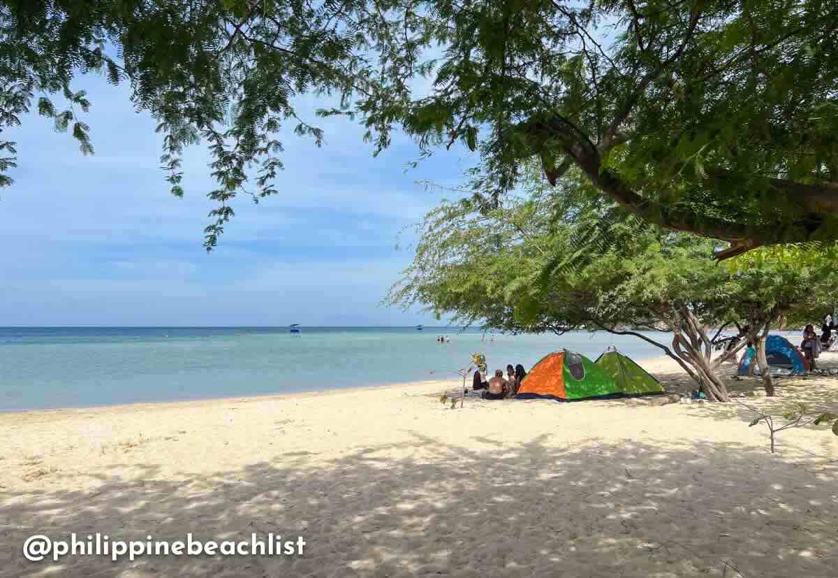 Manuel Uy Beach Camping