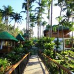 TOP 10 HOTELS IN QUEZON PROVINCE