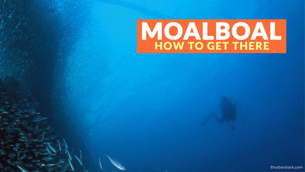 HOW TO GET TO MOALBOAL (From Mactan Airport, Bohol, and Dumaguete) Philippine Beach Guide