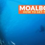 HOW TO GET TO MOALBOAL (From Mactan Airport, Bohol, and Dumaguete)