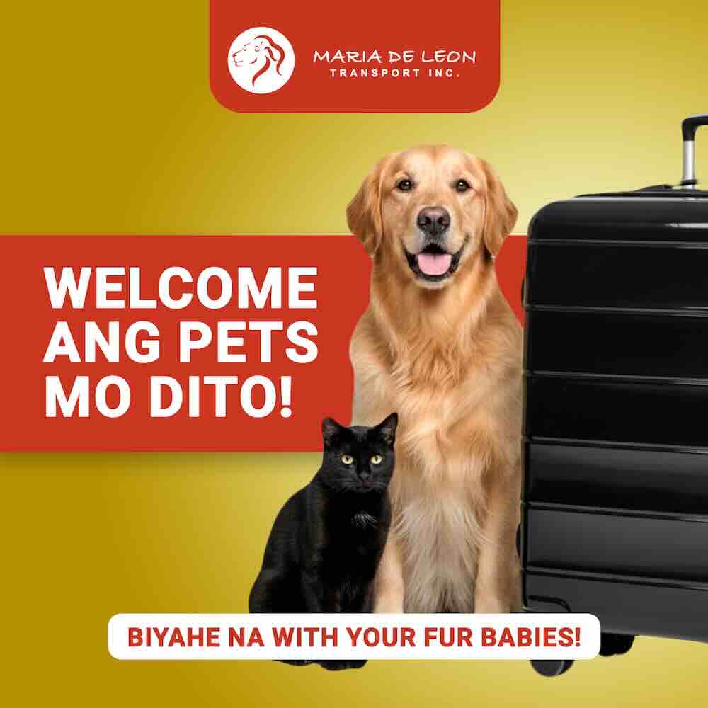 Maria de Leon Transport Pet Policy
