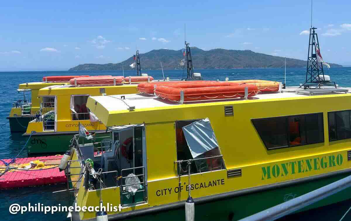 Montenegro Lines Tingloy