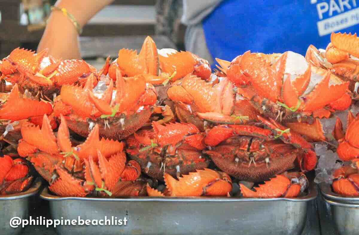 Fresh Curacha