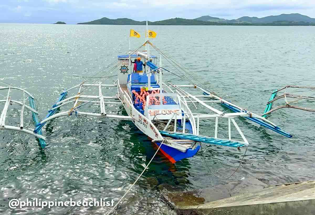 Gigantes Islands Tour Boat