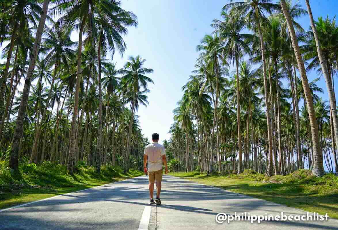 Coconut Mountain View Siargao