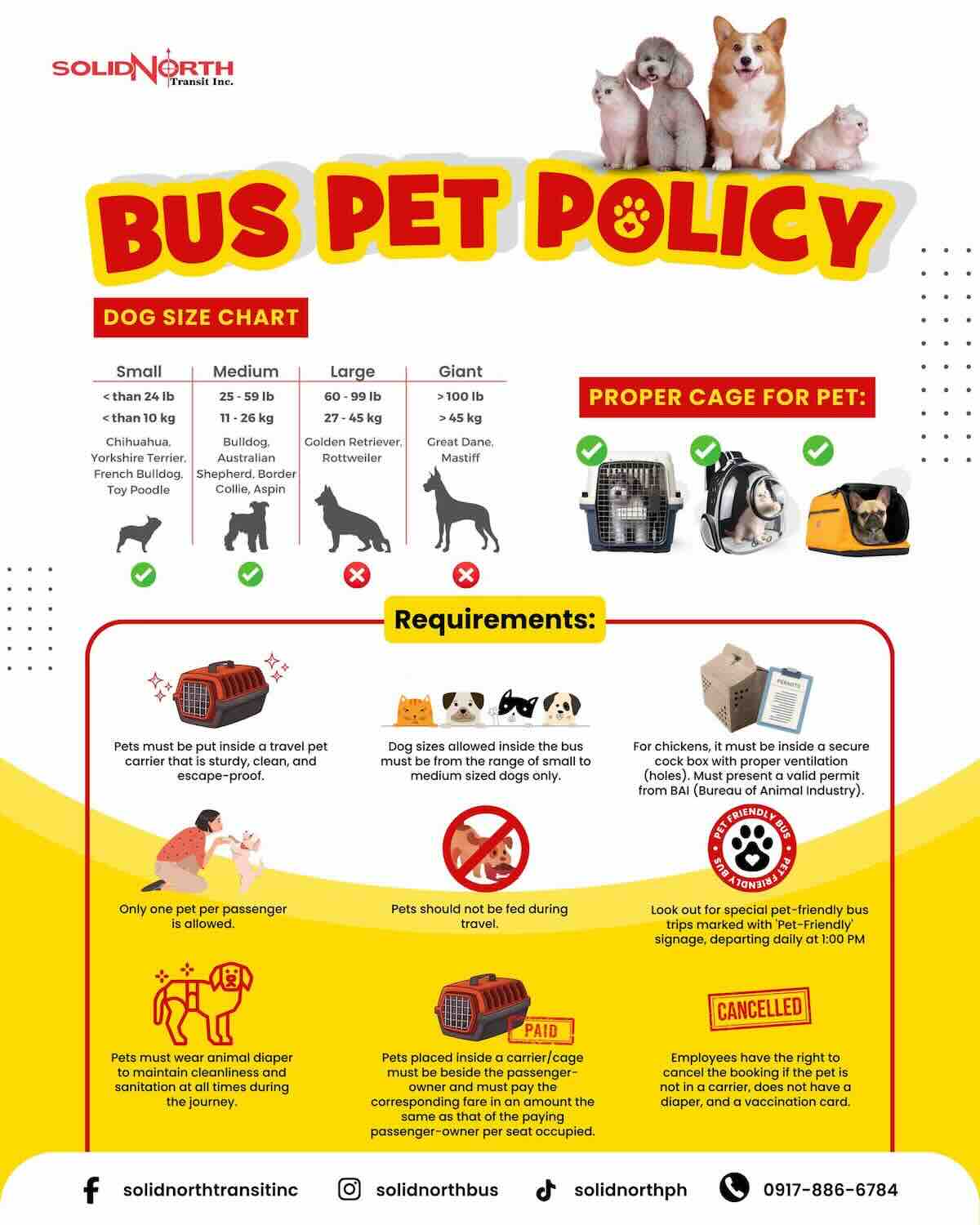 Solid North Pet Policy May 2026